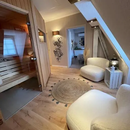 Avec Sauna - Europa Park Benfeld