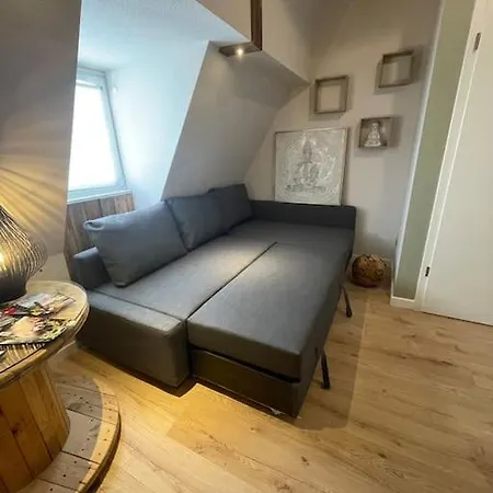 Avec Sauna - Europa Park Benfeld